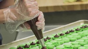 AMMEX Embossed Polyethylene Disposable Gloves - Clear, 1 Mil, Food Service, Medium, Mastercase of 10000