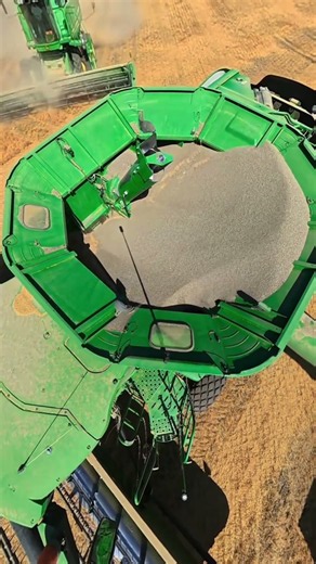 HARVEST FROM A DIFFERENT ANGLE 🌾 #agriculture #farming #combine #harvest