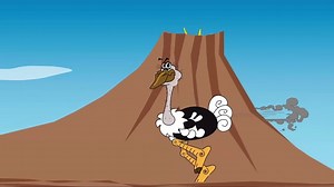 Ostrich, Bird, Run. Free Stock Video