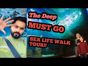 Exploring The Deep in Hull | Amazing Aquarium Experience 🦈🐠