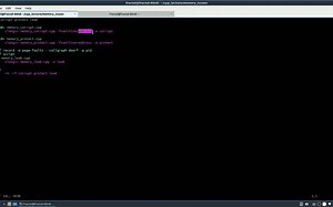 C  内存问题解决方案原理分析