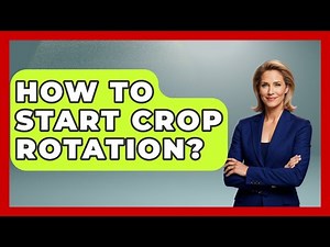 How To Start Crop Rotation? - The World of Agriculture