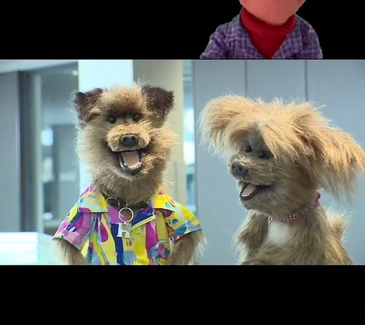 Puppet Master Hacker and Dodge Adventure