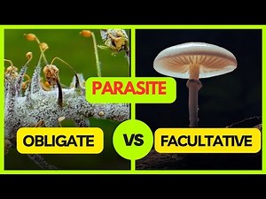 Obligate Parasite | Facultative Parasite | Facultative Saprophyte | Plant Pathology