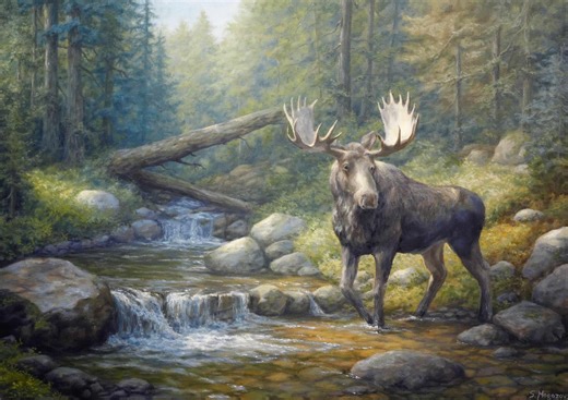 Moose Wildlife Oil Painting: Forest Stream Serenity, 70x50cm Linen Canvas - Etsy