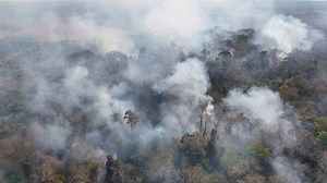 Waldbrände im Amazonas sorgen für höchste Emissionen seit 21 Jahren