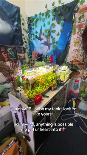 the amount of people telling me they want to have tanks like mine but they are “too young”, i promise you that you will get there with enough time and dedication 🫡 #fyp #animalenthusiast #properanimalcare #exoticpetkeeper #reptilekeeper