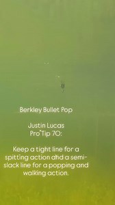 Berkley Bullet Pop - when fish are actively feeding on the surface, especially in late summer/early fall when they’re feeding on smaller baitfish. #shopthelure at #fishermanswarehouse | WesternBass