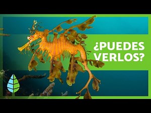 7 ANIMALS THAT CAMOUFLAGE THEMSELVES IN NATURE 🦋🦎