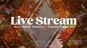 Fall Trees - Livestream - Title Graphics
