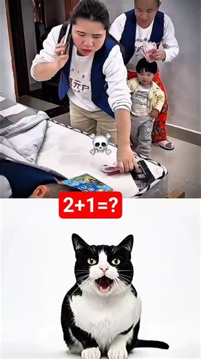 #mrbombastic #funny #catbombastic #cat #memes #cute #funnyvideos