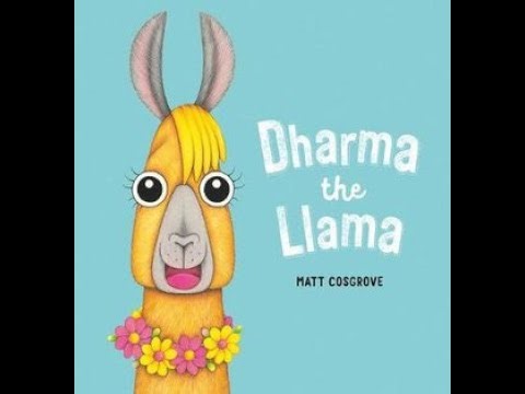 Dharma the Llama