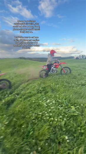 Understanding Sibling Relationships and Emotional Support