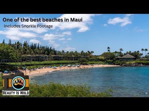 The 3-Minute Kapalua Beach Guide for Busy Travelers