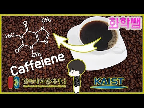 [화학 실험] 카페인 추출 (feat. 한국과학창의재단, 카이스트)