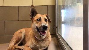 12 reactions · 18 shares | Both rescued! Sicily and Andy did not...