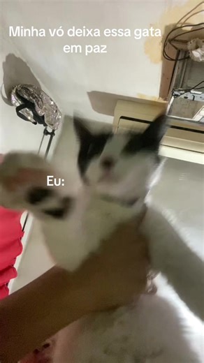 Os vídeos de lexa17y (@lexa17y) com Dança do Créu - Ao Vivo - Mc Créu