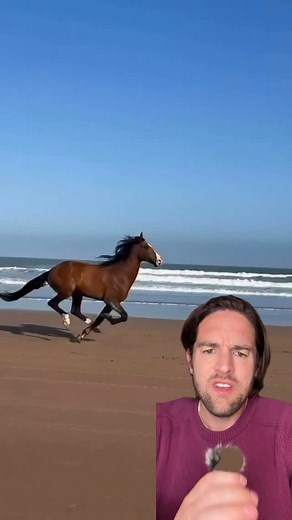 Do you see this horse running forward or backwards? #opticalillusion #fyp | Scott Whitehead