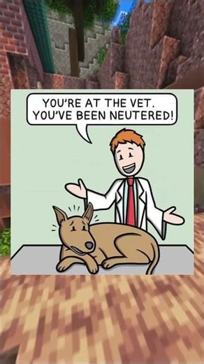 No Balls Left