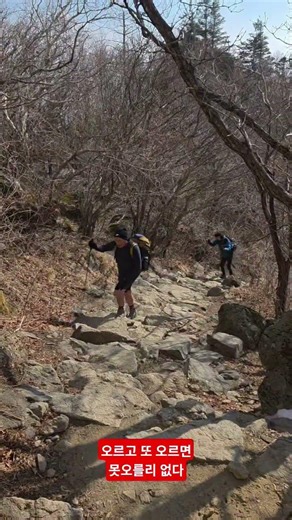 2050년 까지 지리산 천왕봉에 오르자