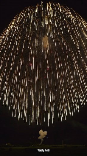 ばんび/花火(fireworks) on Instagram: "2尺玉最後まで美しい梁✨ 水郷大江夏まつり灯ろう流し花火大会 #fireworks #hanabi"