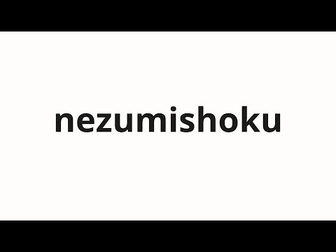 How to pronounce nezumishoku | ネズミ色 (mouse color in Japanese)