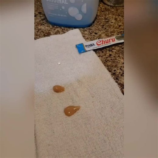 Ferallife Guards on TikTok