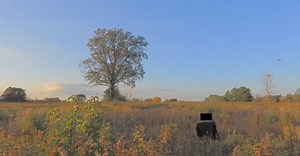 Experimental Film Explores ‘Connected Isolation’