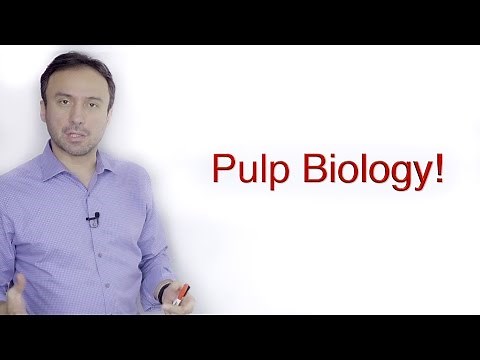 Pulp Biology: A Basic Crash Course
