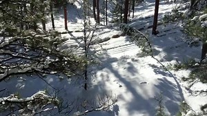 1.1K views · 33 reactions | Flying over the Flagstaff Snow Park getting the zips ready for Saturday! | Flagstaff Extreme Adventure Course & Adventure Zips | Facebook