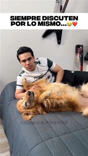A woman seemed to be scolding her dog for getting on the bed... but the ending surprised everyone