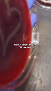 2K views · 559 reactions |  how microbiologist says “i love you”  #microbiology #microbiologist #microbiologylab #explorepage #bacteriology #microbe #science #molecularbiology #kesfet #virology #pcr #cell #culture #media #molecular #lifescience #knowledge #know #fact #mikrobiyoloji #bacteria #bakteri #microbiologia #lab #laboratory #phd #phdstudent #fyp #viral #reel | Medical Microbiologist | Facebook