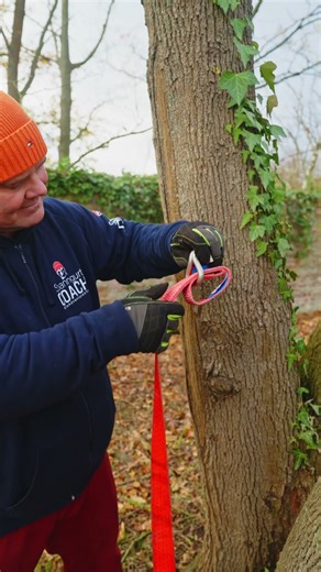 Smartly loop the tree – easy to attach and stress-free! 🌲