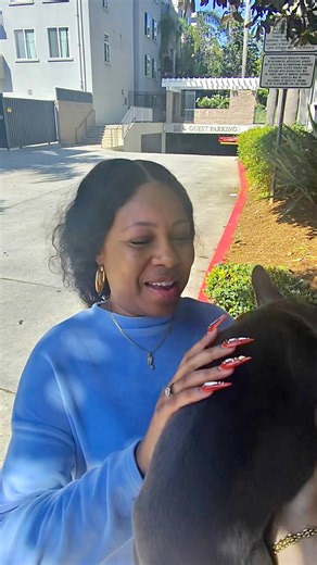 🌞💙 Frenchie delivery in SOCAL 🌞💙 This is our last memory with LOKI as he is ready to join his forever 🏡 with this sweet woman and her family! She reached out a couple days before with her eye on him and now has named him “PRINCE” with his king bed waiting for him…✨ 🐶 MESSAGE US TO BE NEXT IN LINE 🐶 • WEBSITE —> CELEBRITYPUPZ.COM • #frenchiesofinstagram #dogsofinstagram #frenchies #frenchielove #bulldog #puppy #frenchiepuppy #frenchbulldogsofinstagram #puppylove #frenchiesociety #bulldogfr