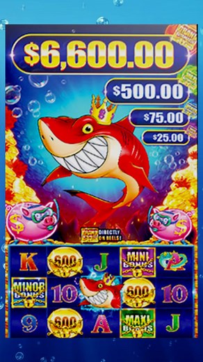 2.5K views · 12 reactions | Just when you thought it was safe to hit the slots... 麗 Dive into the thrill of Casino Arizona's newest release: Sharks Lock!  Come face-to-face with the ultimate predator of the deep and spin your way to victory! #Casino #Slots #Scottsdale | Casino Arizona | Facebook