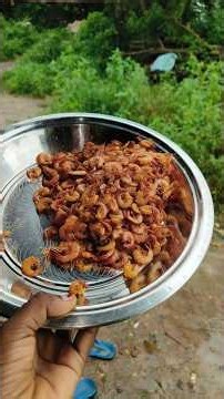 ଚପଲ ର ମନଦୁଃଖ ଚିଙ୍ଗୁଡ଼ି ଖାଇ ଦେଲି lll