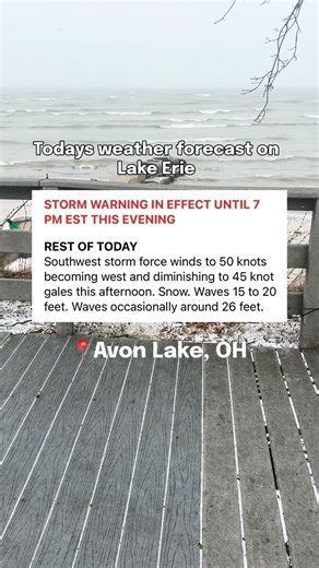 Waves of 26 feet 🌊 Winds just under 60 mph 💨 the video never does it justice! Can you imagine being out on the water today?? 😵‍💫 🗓️ December 29, 2025 | Lake Erie Locals