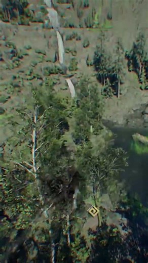 Crimson Desert tree jump