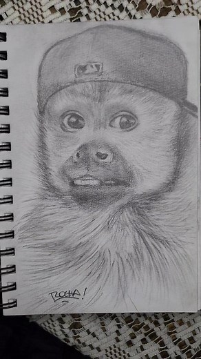 Monkey Bellako 🥵🔥#dibujos #art #foto #retrato #bogueto #monkey #mono