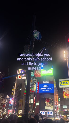 Exploring Japan with My Twin: A Rare Aesthetic Adventure