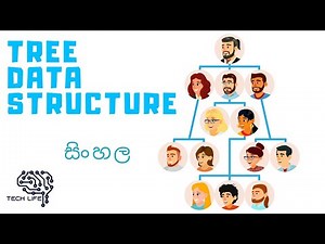 Tree Data Structure Sinhala සිංහල