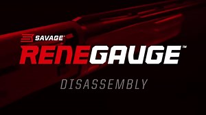 How to Disassemble Renegauge
