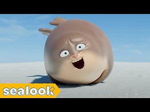 Mole Seal's LOL Moments😂 #032 | SEALOOK | Episodes Compilation