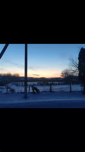 Embrace Winter: A Love Story Through the Seasons