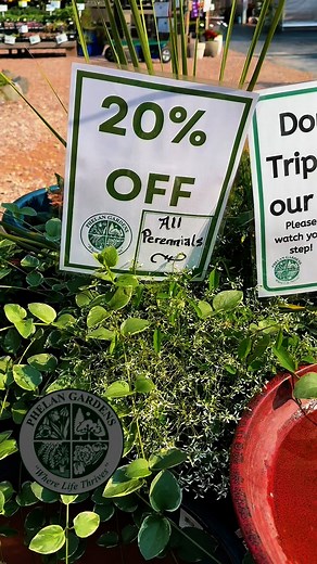 Fall is for Planting! 🍂 ALL Perennials, Trees, and Shrubs are 20% OFF while supplies last at Phelan Gardens! 🌼 Colorado Springs gardeners know—fall is the perfect time to get plants in the ground. Cooler temps warm soil = strong roots for next spring’s blooms. 🌱 Swing by soon and stock up before they’re gone! #ColoradoSpringsGardening #FallPlanting #Perennials #GardenInspiration #PlantSale | Phelan Gardens