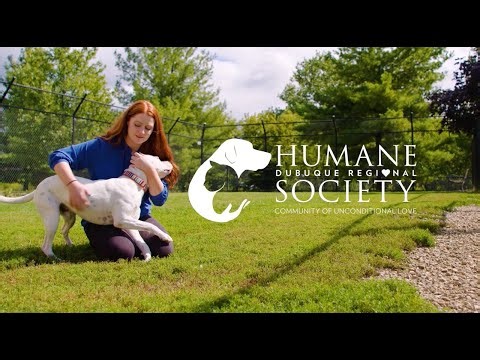 Stories that Inspire: Dubuque Regional Humane Society
