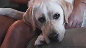 28 reactions · 16 shares | It can be a challenge applying for and...