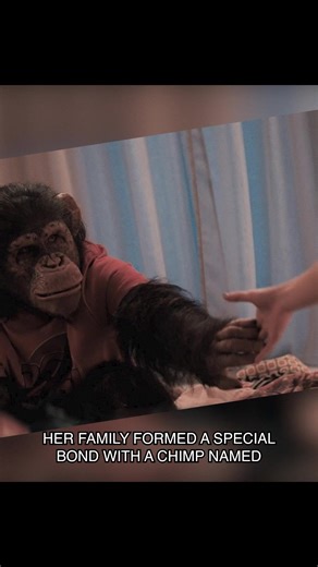 Primate Movie: A Unique Bond Between Family and Chimps