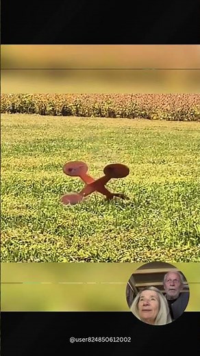 Precision Shooting Test With a Moving Target #training #difficult #skills