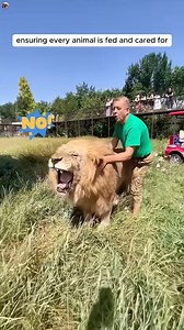 399K views · 7K reactions | This man disciplines lions with a slipper | Suusuu | Facebook